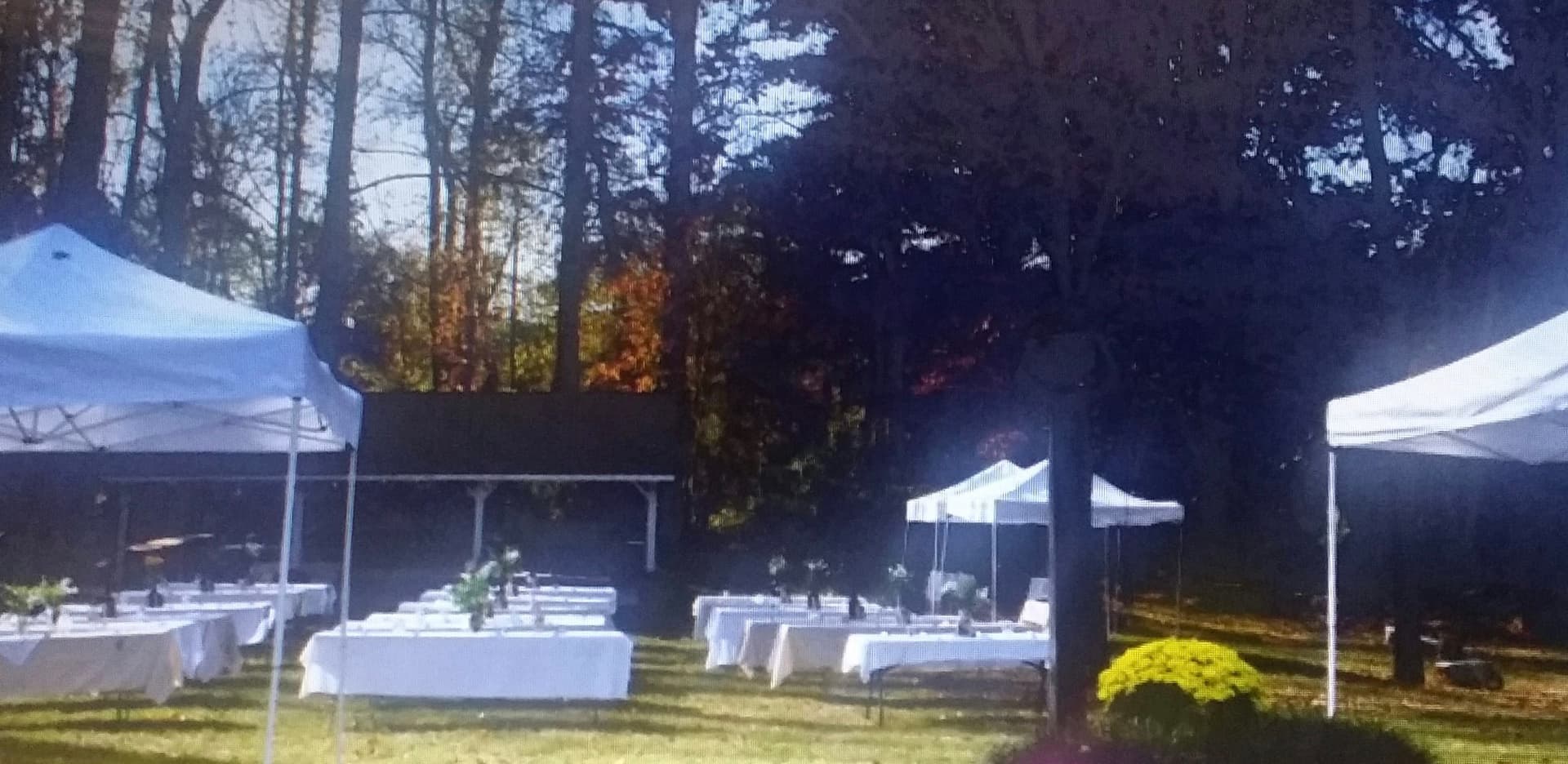 Wedding celebration